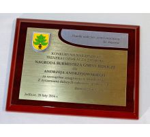 sugerowana wielkość to 23 x 30 cm